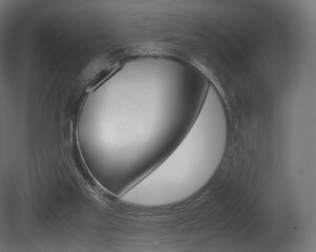 X0000081490109200701121123