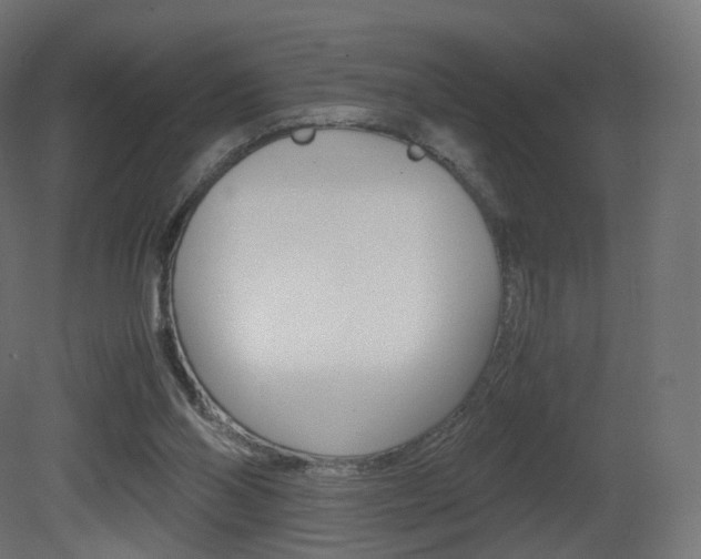 X0000081490110200701121123
