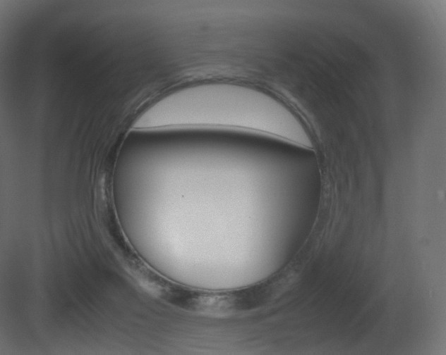 X0000081490117200701121122