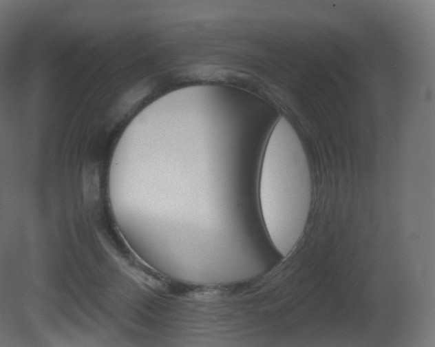 X0000081490120200701121122