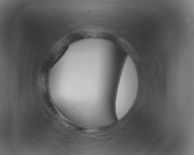 X0000081490121200701121122