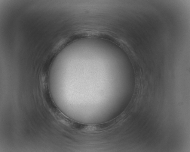 X0000081490123200701121122