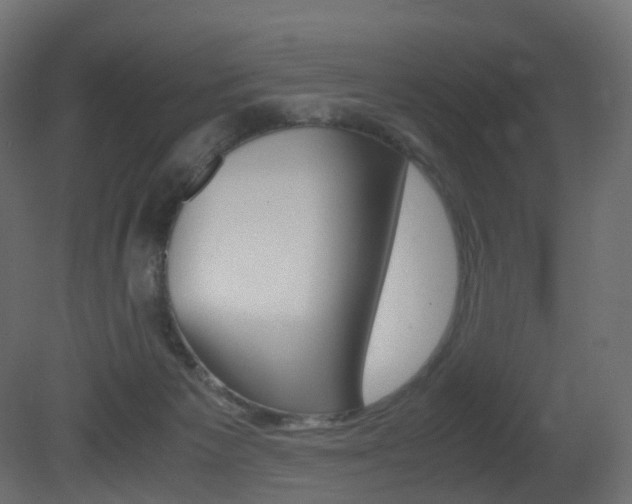 X0000081490125200701121122