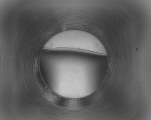 X0000081490127200701121122