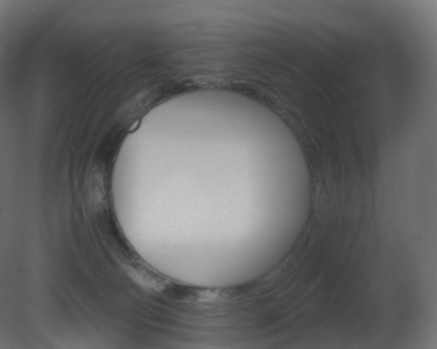 X0000081490130200701121122