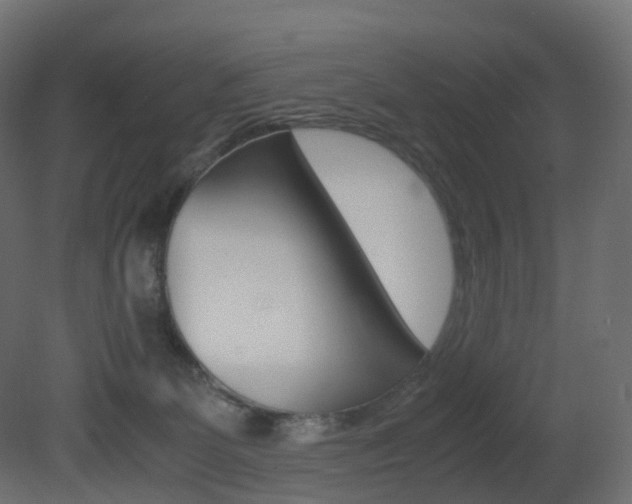 X0000081490131200701121122