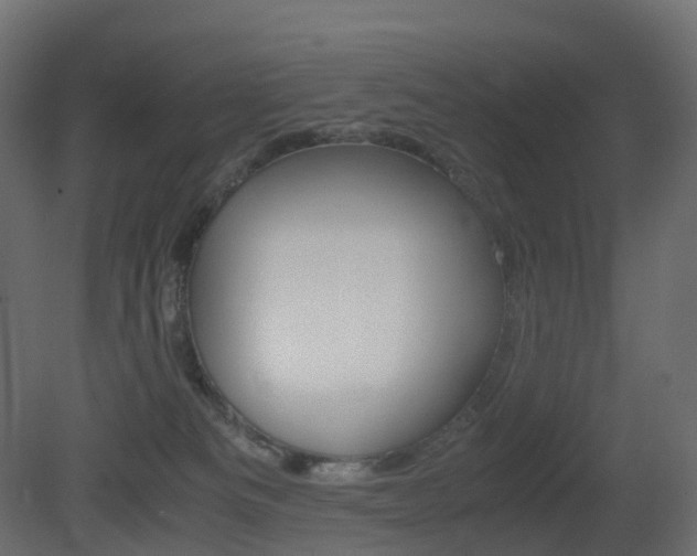 X0000081490133200701121122