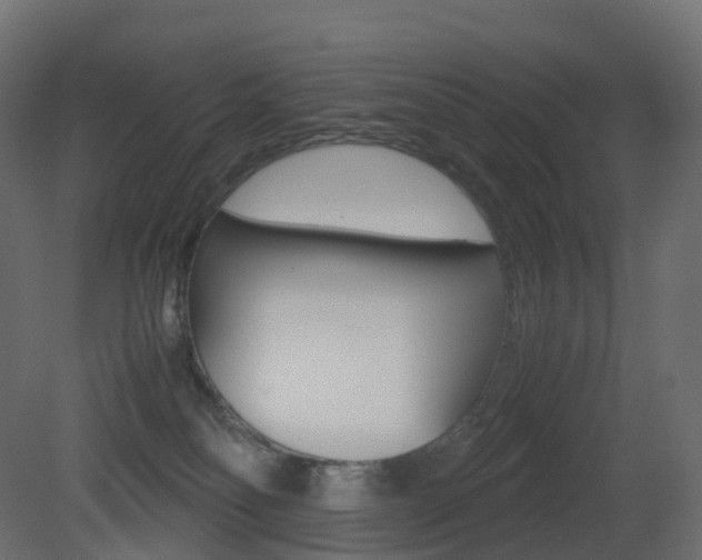 X0000081490134200701121122