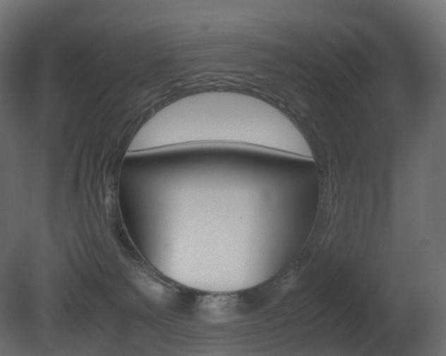 X0000081490135200701121122