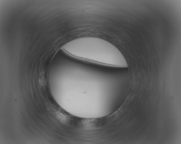 X0000081490136200701121122
