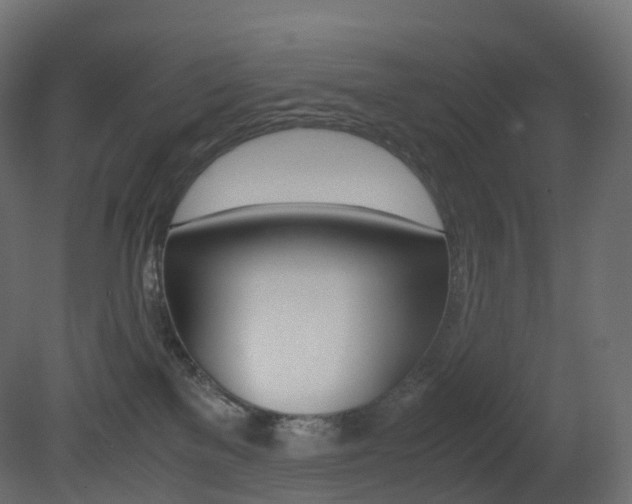 X0000081490137200701121122