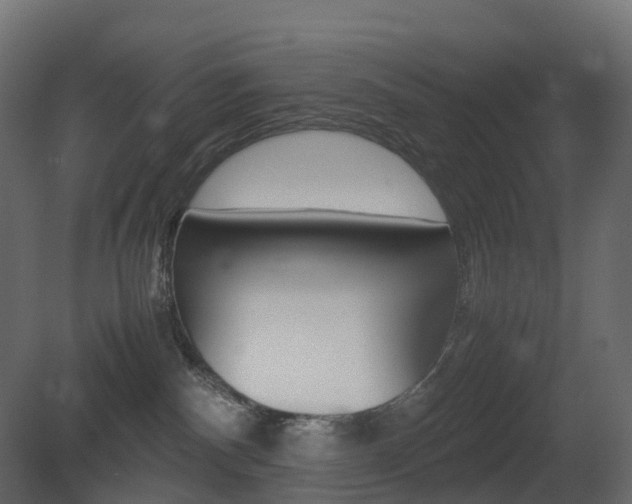X0000081490140200701121122