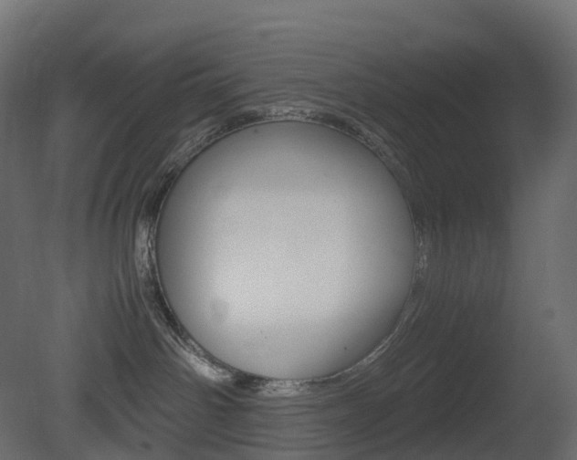 X0000081490142200701121122
