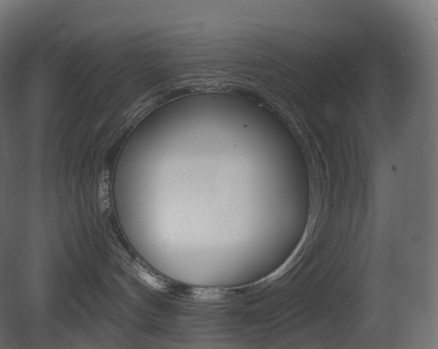 X0000081490144200701121122