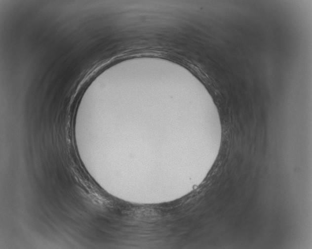 X0000081490146200701121121