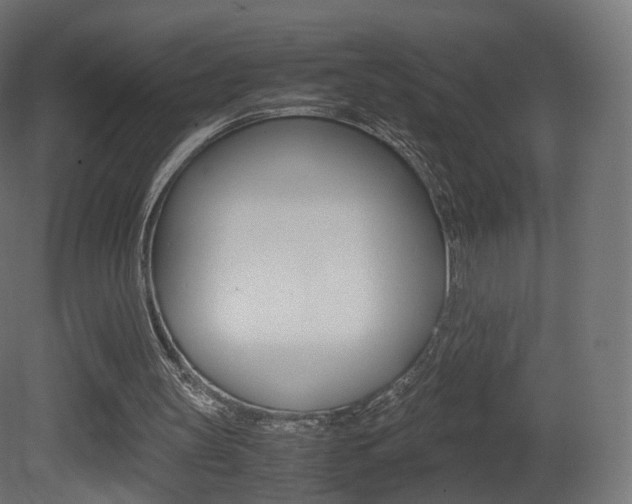 X0000081490147200701121121