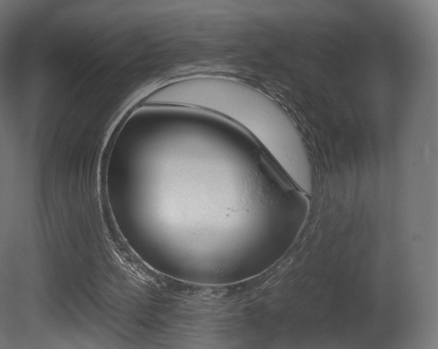 X0000081490148200701121121