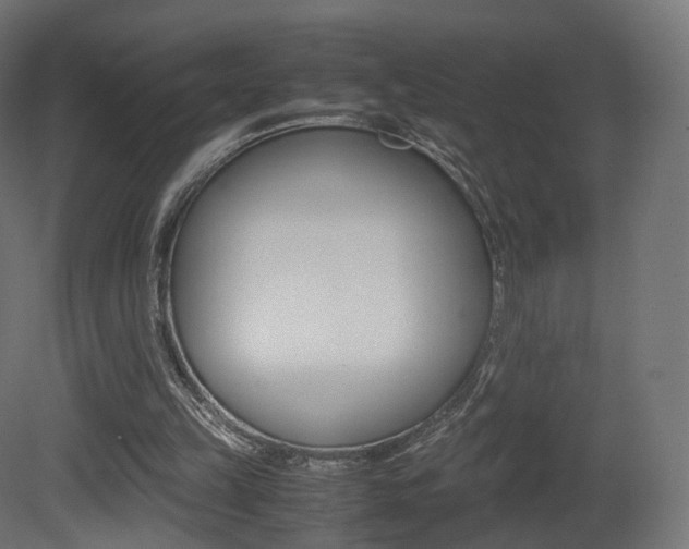 X0000081490149200701121121