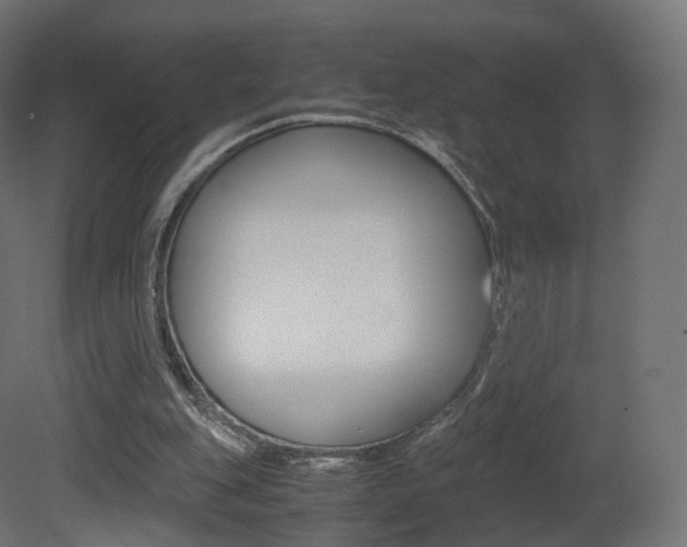 X0000081490151200701121121
