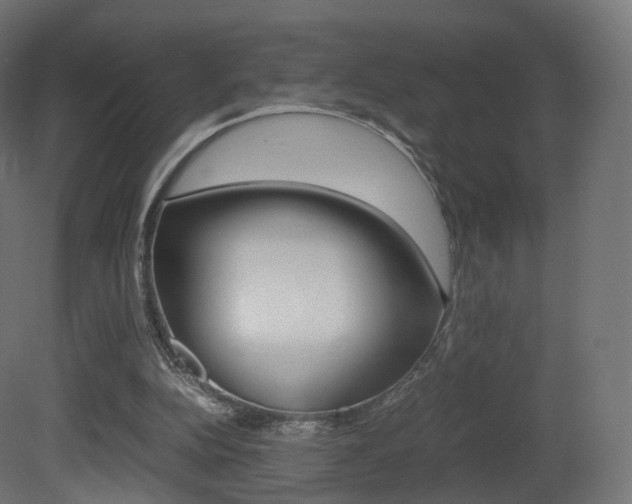 X0000081490152200701121121
