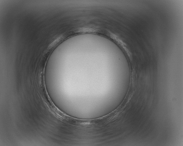 X0000081490153200701121121
