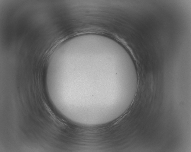 X0000081490154200701121121