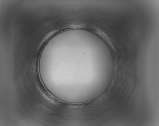 X0000081490155200701121121