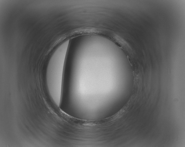 X0000081490158200701121121