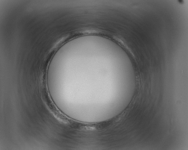 X0000081490159200701121121