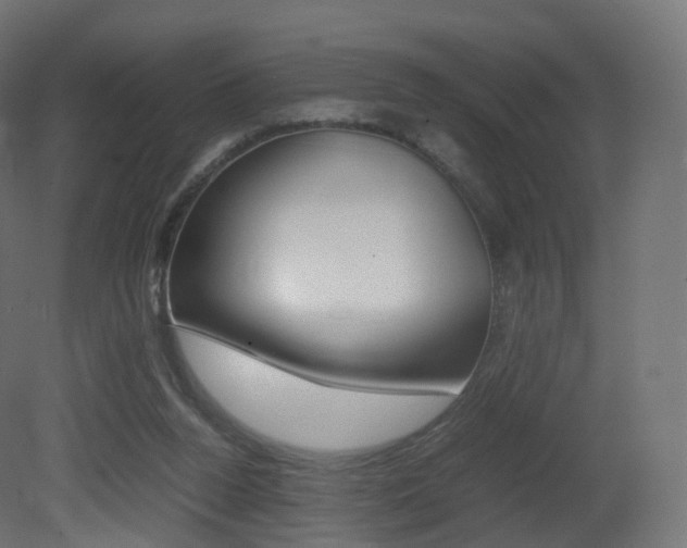 X0000081490160200701121121