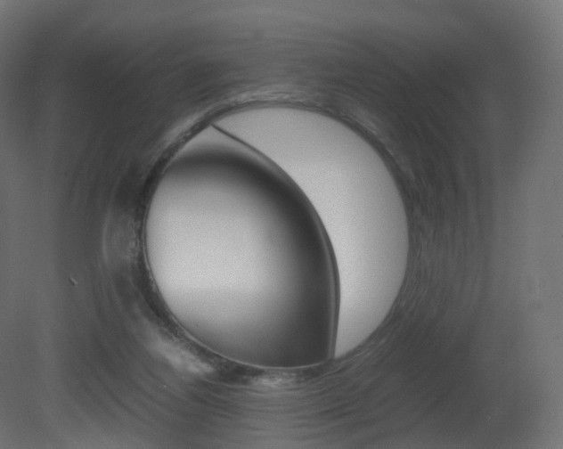 X0000081490164200701121121