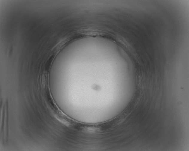 X0000081490165200701121122