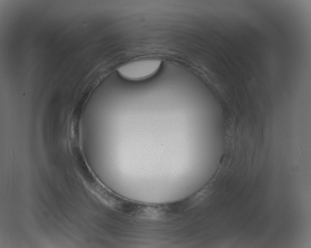 X0000081490166200701121122
