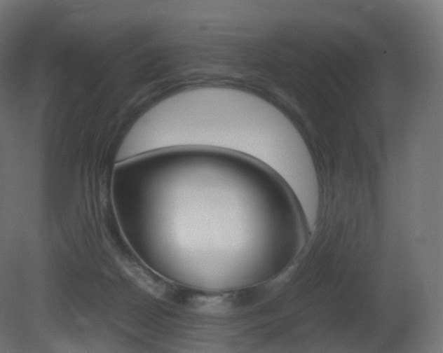 X0000081490170200701121122