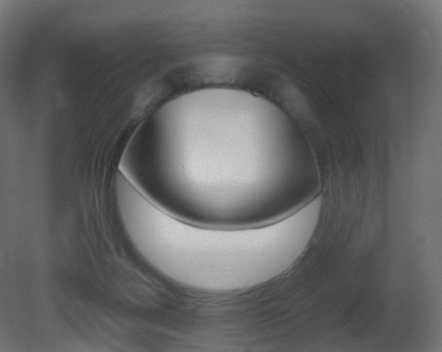 X0000081490172200701121122