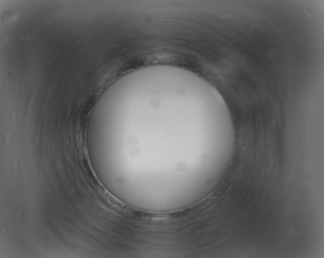 X0000081490173200701121122