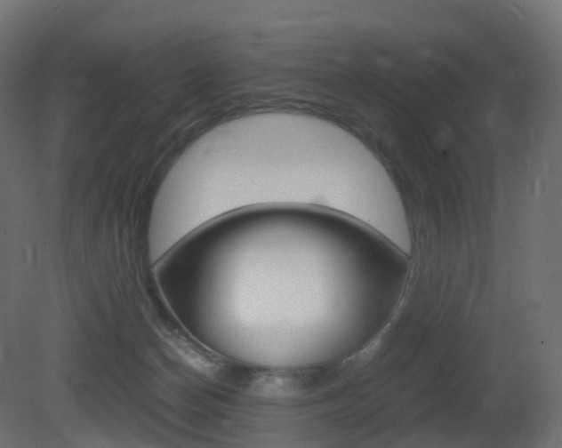 X0000081490174200701121122