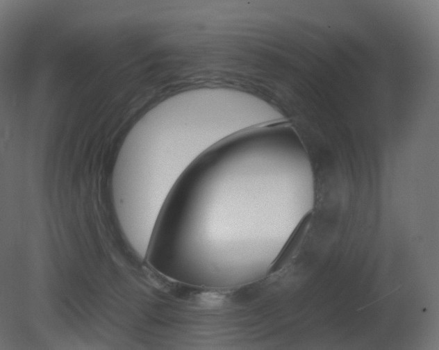 X0000081490176200701121122