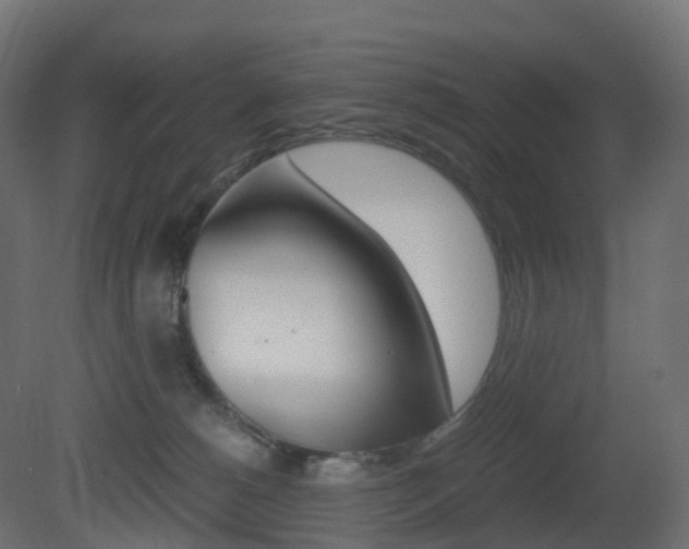 X0000081490180200701121122