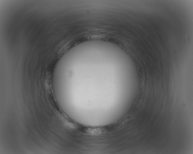 X0000081490181200701121122