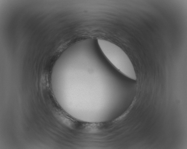 X0000081490182200701121122