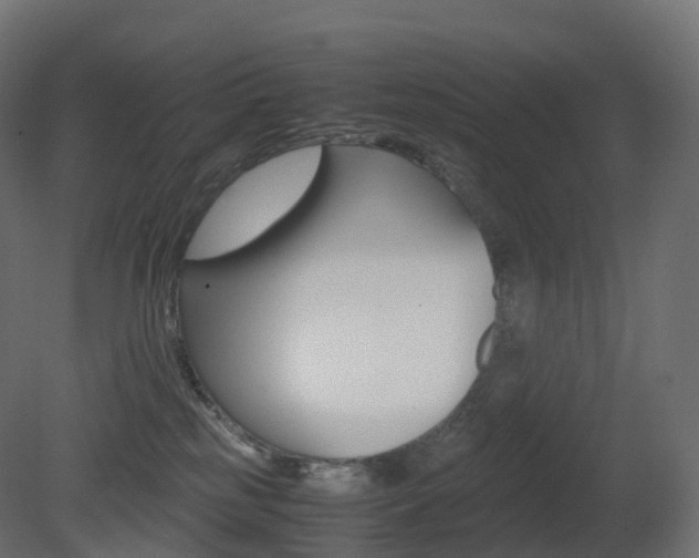 X0000081490185200701121122