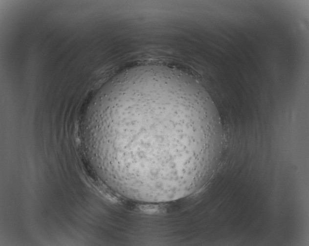 X0000081490187200701121122