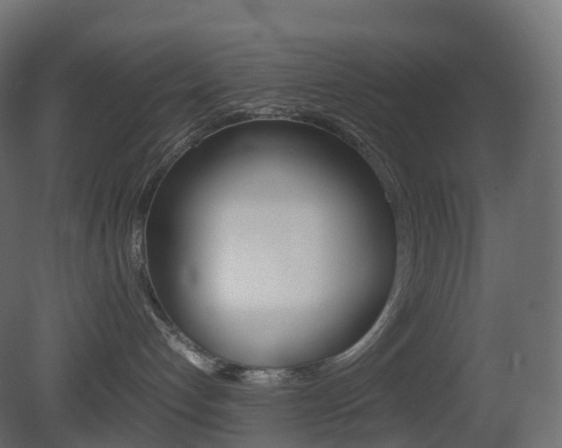 X0000081490192200701121122