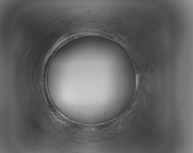 X0000081490195200701121121