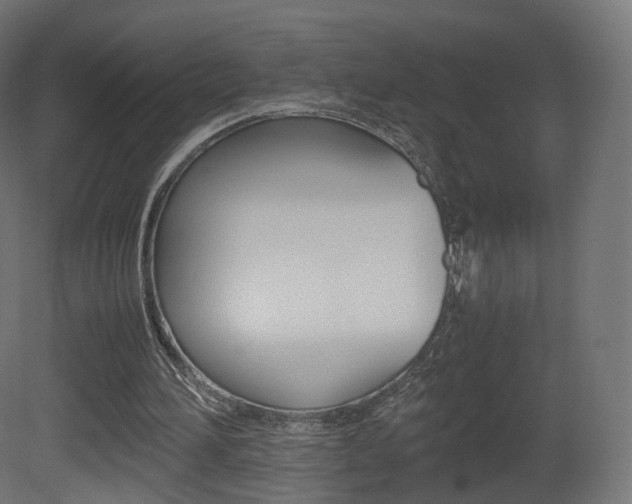 X0000081490196200701121121