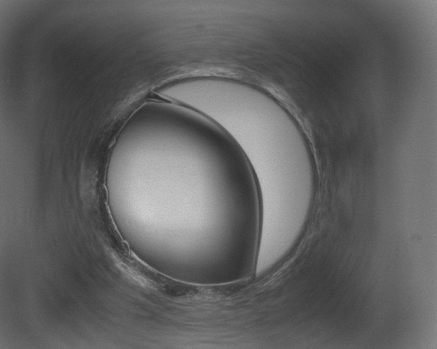 X0000081490201200701121121