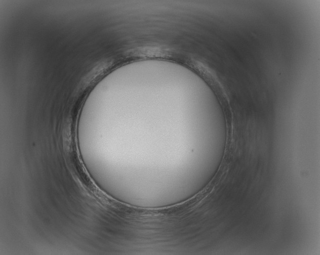 X0000081490202200701121121
