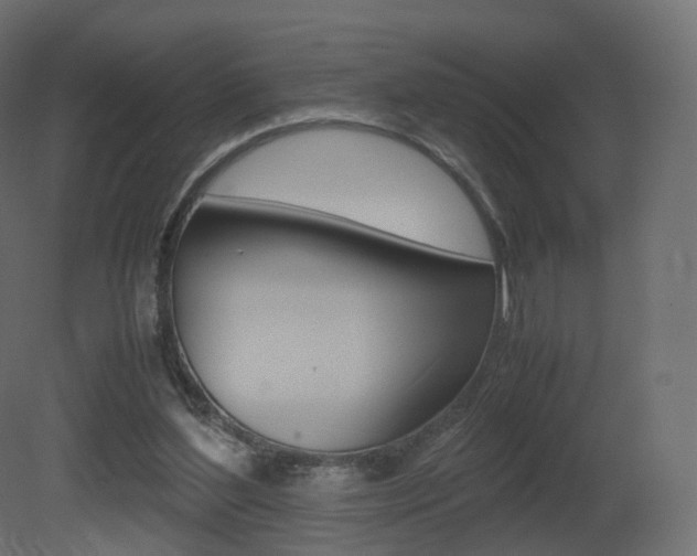 X0000081490204200701121121