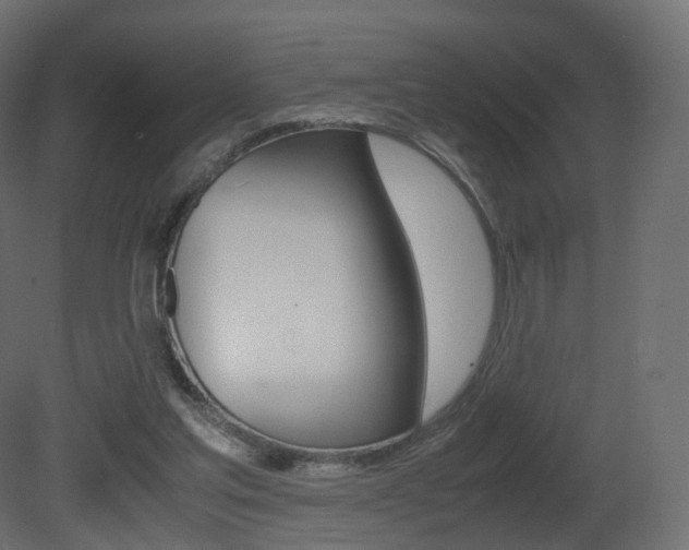 X0000081490205200701121121